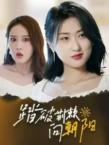 《踏破荆棘向朝阳》：看得我热血沸腾，这才是国产剧该有的样子！